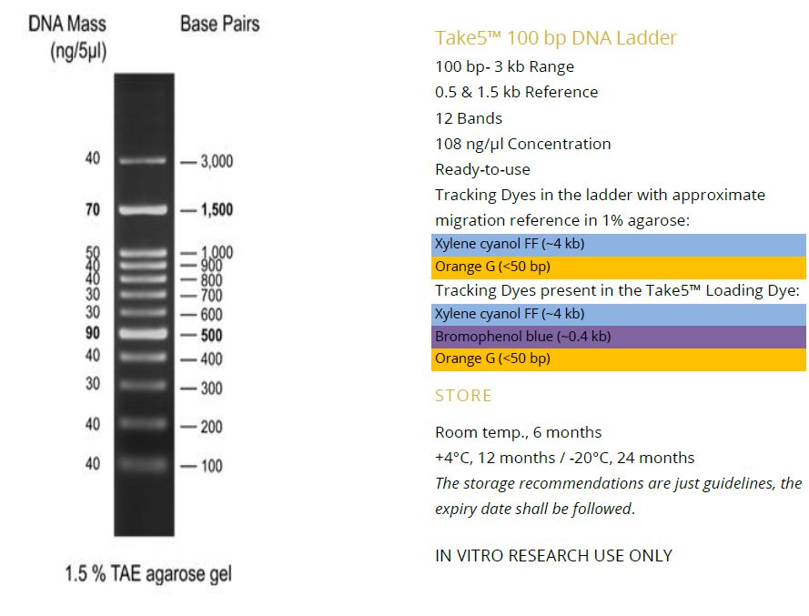 Take5™ 100 bp DNA Ladder