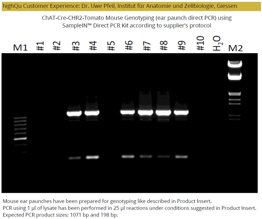 Pcr Loading. Sample SampleIN™ Direct PCR Kit