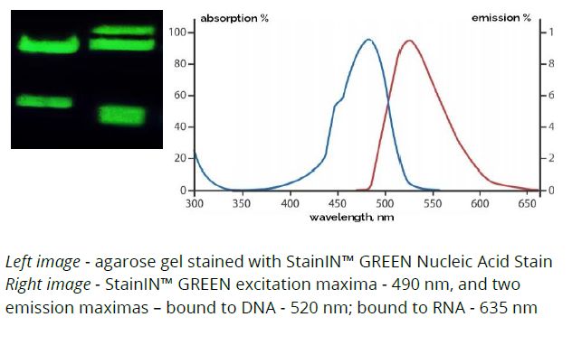 StainIN™ GREEN Nucleic Acid Stain 