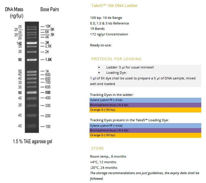 1 Kb Ruler Approximate DNA sizing on agarose gels with Take5 DNA Ladder